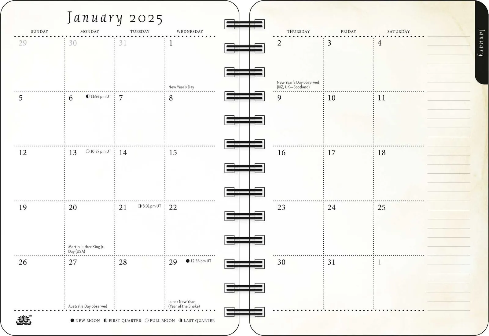 Amber Lotus The Artful Cat 2025 Weekly Planner Calendar