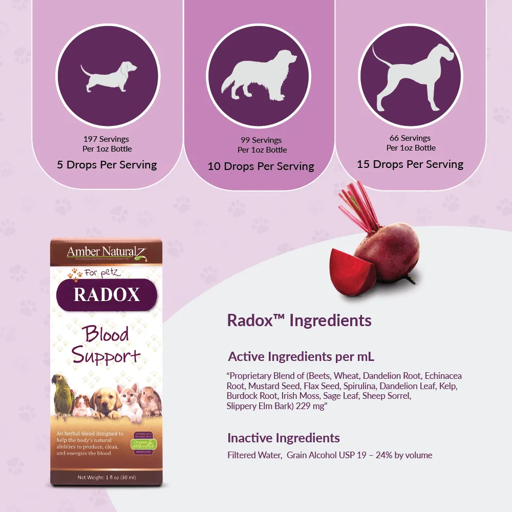 Amber Naturalz RADOX: Blood Support - 1 Ounce