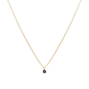 Birthstone Necklace | Gold & Amethyst