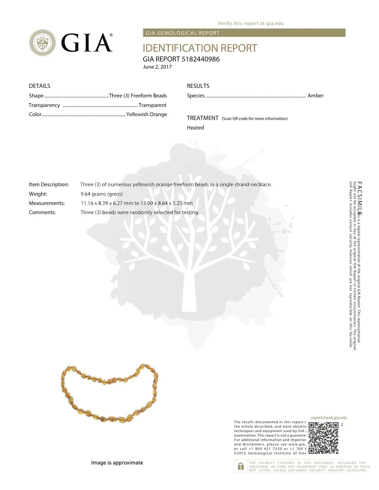 Boost Immune System with Amber and Pastel Rainbow Big Kid Necklace - Natural Relief for Sinus, Ear, Headaches, and Focus