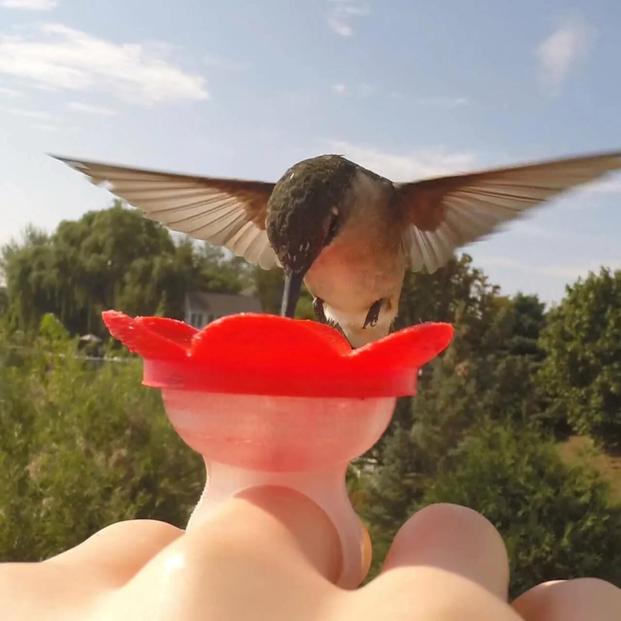 Hummer Ring