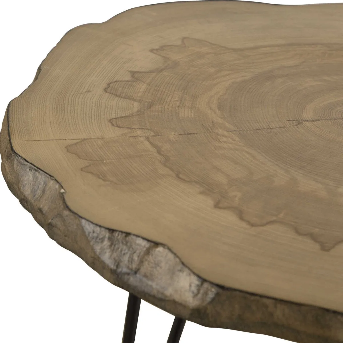 Runay Wood Slab Side Table
